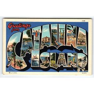 Greetings From Catalina Island California 1940's Large Letter Linen Postcard